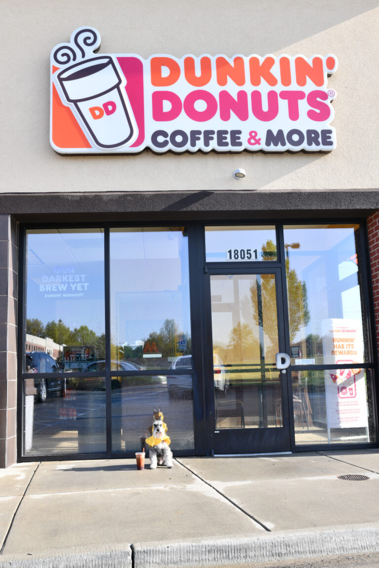 Pup Cups at Local Coffee Shops Starbucks, Dunkin, Dutch Bros Kansas