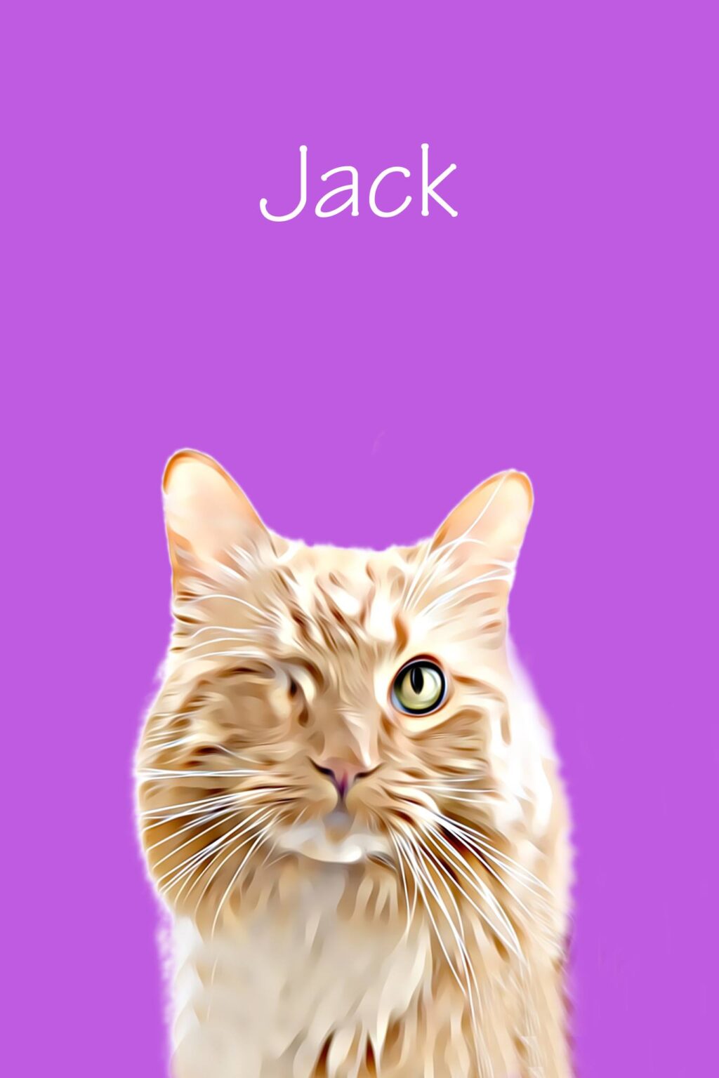 Starr Pet Art Digital Art from Pet Photos Kansas City Dog and Pet Photography by Jen Starr